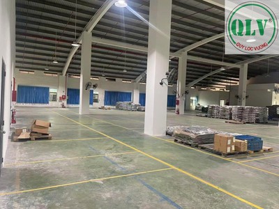 Cho thuê nhà xưởng khu công nghiệp Việt Hương 1 diện tích 12.000m2 Thuận An, Bình Dương 3
