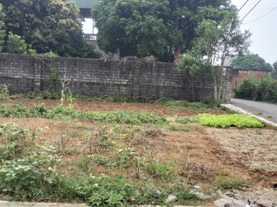 Đất Đồng Trạng -Hòa Lạc ,lô góc 120m full thổ ,sãn sổ công chứng trong ngày. 1