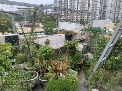 Bán nhà khu sơn kỳ, tân phú - 90m2, ngang 5m, 3t - hẻm 5m xe hơi thông 4