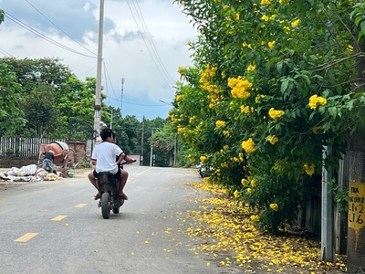 Hàng Hiếm, 100m full thổ cư mà chỉ nhỉnh 30tr/m tại HÒA LẠC 1