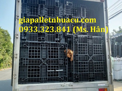  Bán Pallet Nhựa Cũ Giá Rẻ Tại Tiền Giang   Đẹp, Bền, Chất Lượng Nhất Năm 2025  9