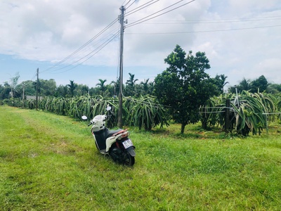 Bán 1825m2 đất thôn ba đăng - tân hải - lagi giá rẻ nhất 986k/m2 4