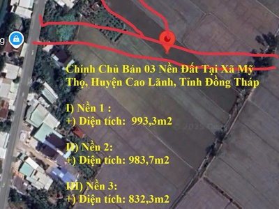 Chính chủ bán 03 nền đất tại xã mỹ thọ, huyện cao lãnh, tỉnh đồng tháp 0