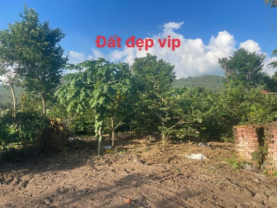 Mở bán lô đất f0 siêu phẩm , đất nghỉ dưỡng tại đại đình   tam đảo vĩnh phúc 0