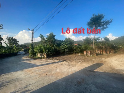 Mở bán lô đất f0 siêu phẩm , đất nghỉ dưỡng tại đại đình   tam đảo vĩnh phúc 2