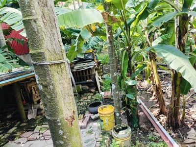 Đất đẹp mt 4.85 m, vuông vắn - giá tốt khu giang biên - việt hưng, long biên, đường oto 4