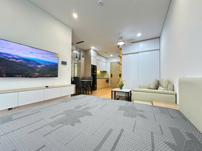 Cho thuê chung cư cao cấp Sentosa, 1 ngủ Studio  31m2 . 2