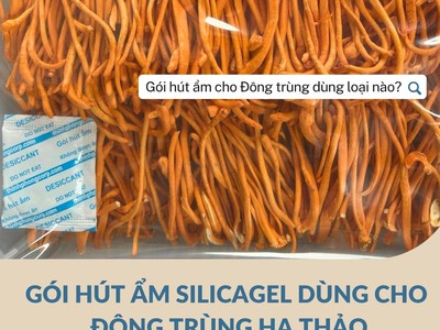 Gói hút ẩm bảo quản đông trùng hạ thảo 0
