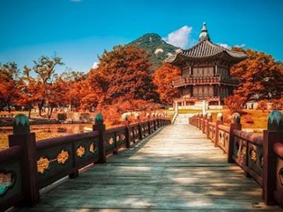 Du Lịch Việt - Chuyên cung cấp các tour du lịch Hàn Quốc chuyên nghiệp 0