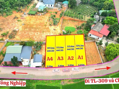 Bán đất giá siêu mềm   tdp ninh hà, xã kim long, huyện tam dương, vĩnh phúc 0