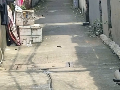 Lô đất sổ hồng riêng chỉ 1 tỷ 890 triệu 4,3mx11m lê văn khương hóc môn 1