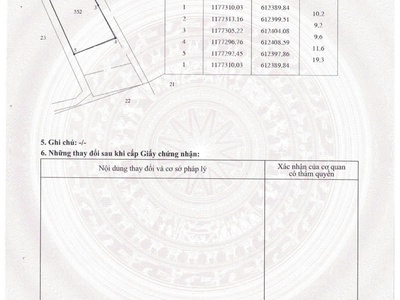 Lô đất đẹp 206m2 xã Bình Khánh, Cần Giờ 3