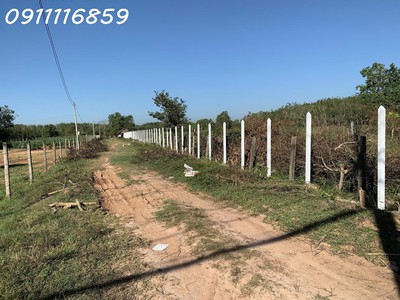 Cần bán 1.8ha đất mt nguyễn thị rành củ chi 79 tỷ. 0