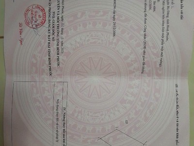 Bán 9 héc cao su   điều   thực tế gần 10 héc   bù đăng, bp, 5,8 tỷ 1