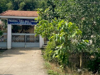 Bán Đất 1696M2 Có 139M2 Thổ,19Mx89M,Mặt Tiền ĐT829 Tân Thạnh Long An Cách tiểu học tân hòa 200m 2