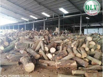 Cho thuê nhà xưởng 14.000 m2 tại huyện Đồng Phú, Bình Phước giá 2.5 USD/m2 2