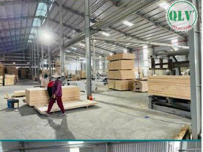 Cho thuê nhà xưởng 14.000 m2 tại huyện Đồng Phú, Bình Phước giá 2.5 USD/m2 4