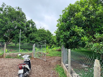 Chính Chủ Cần Xoay Vốn Nên Bán Gấp Lô Đất 1000m2 Vườn Cây Ăn Trái Lâu Năm Tại Thống Nhất 5