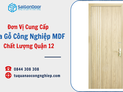Đơn Vị Cung Cấp Cửa Gỗ Công Nghiệp MDF Chất Lượng Quận 12 0