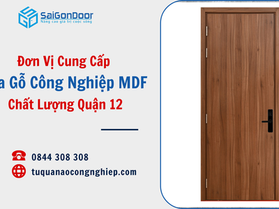 Đơn Vị Cung Cấp Cửa Gỗ Công Nghiệp MDF Chất Lượng Quận 12 1