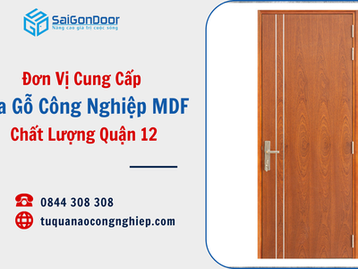 Đơn Vị Cung Cấp Cửa Gỗ Công Nghiệp MDF Chất Lượng Quận 12 3