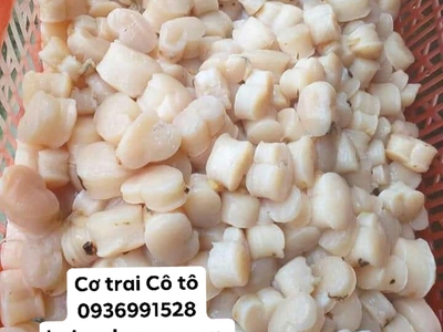 Báo giá cơ trai cô tô vip ngon tuyển chọn 0