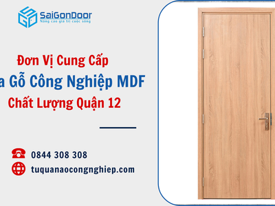 Đơn Vị Cung Cấp Cửa Gỗ Công Nghiệp MDF Chất Lượng Quận 12 4