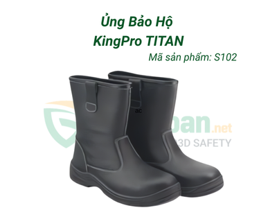 Giày bảo hộ S102 0