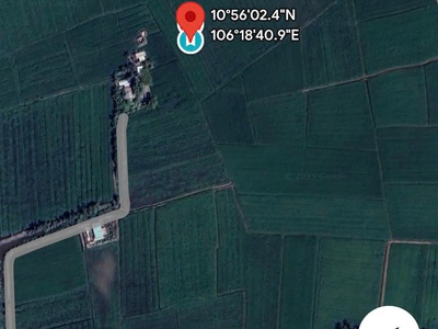 Bán lô đất đẹp   xã an ninh tây, huyện đức hòa, tỉnh long an 3