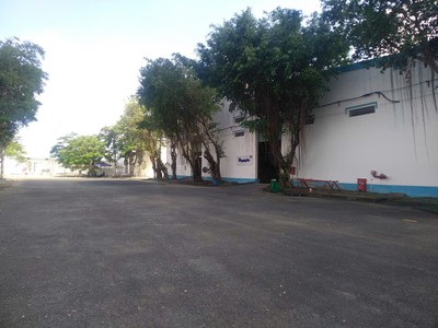 Cần cho thuê kho xưởng tại kcn hoà phú, xã hòa phú, long hồ, vĩnh long 1