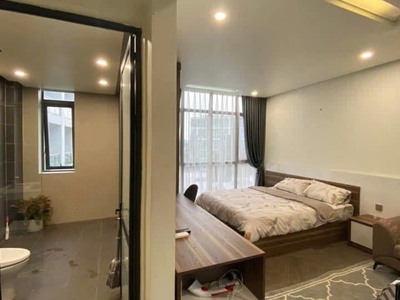 Cho thuê căn hộ cao cấp 1 ngủ  35m2  Waterfront City. 2
