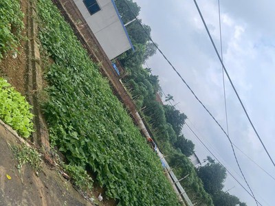 Bán lô đất giá rẻ thôn 3 phú cát sát nhà máy in tiền, đl thăng long 82.5m nhỉnh 3tỷ 1