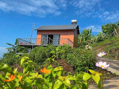 Nhà em có mảnh vườn đồi Giá Tỵ câng bán, View Hồ Trị An, Giáp suối tại Định Quán, Đồng Nai 4