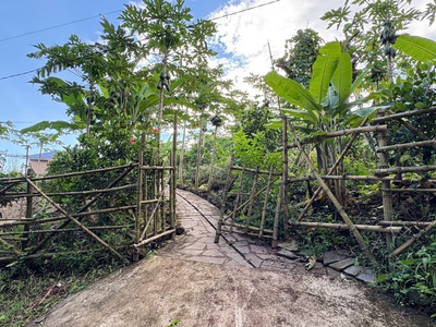 Nhà em có mảnh vườn đồi Giá Tỵ câng bán, View Hồ Trị An, Giáp suối tại Định Quán, Đồng Nai 6