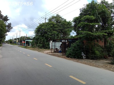Cơ hội vàng  cho thuê nhà mặt phố đường cây bài củ chi tphcm 499m2   vị trí đắc địa kinh doanh lớn, 3