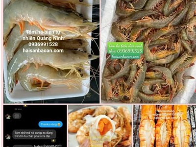 Báo giá tôm he biển tuyển chọn giá tốt 0