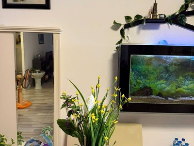 Cho thuê căn hộ chung cư 34t hoàng đạo thuý 160m2, 3pn lớn, 1 pn nhỏ, 25 triệu 1