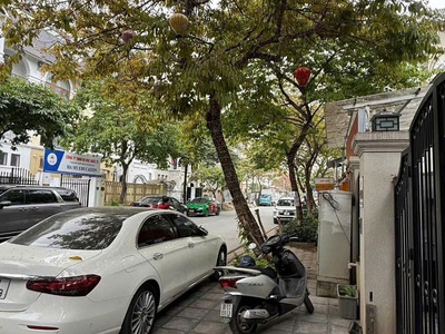 Nguyễn du   ngọc thổ trung tâm   thịnh vượng dồi dào 0
