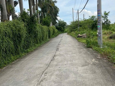 Đất vàng  70x32   full thổ mt lê thi kim, hm giá chỉ 22 triệu/m 1