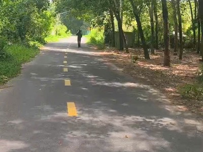 Bán  lô đất tổng diện tích 2,6 mẫu, có 300m  thổ cư, toạ lạc tại thị trấn lai uyên, bầu bàng, bình 2