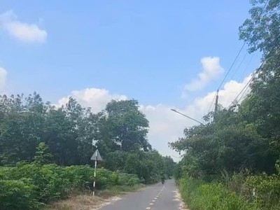 Bán  lô đất tổng diện tích 2,6 mẫu, có 300m  thổ cư, toạ lạc tại thị trấn lai uyên, bầu bàng, bình 3
