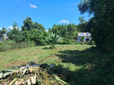 Chính chủ cần bán đất tại trung tâm thị trấn đất đỏ, huyện đất đỏ, bà rịa - vũng tàu- nay thuộc 1