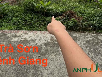 Cần bán lô đất đẹp tại TDP Trà Sơn, Phường Lưu Kiếm , TP Hải Phòng 2