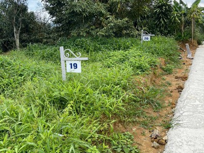 Chỉ với 750 triệu/lô đất tặng ngay vườn trái cây tại Bảo Lộc 2