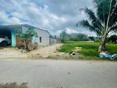 Đấtdiên phú đường nhựa kinh doanh thông rộng 6m.. lô góc 2 mặt tiền vuôn vắn. 4