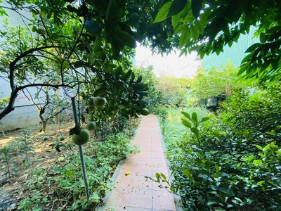 Nguyễn du biệt thự sân vườn, mặt phố ô tô tránh đỗ kinh doanh 3