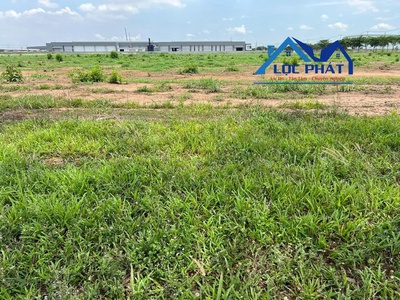 Bán đất skk 3,1ha trong kcn trảng bom, đồng nai giá 180/m2 3