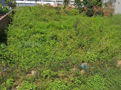 Chính chủ cần bán đất tại khu mai hòa, phường đông mai, tỉnh quảng ninh 0