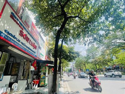 Siêu hiếm mặt phố thanh nhàn bán 48M tặng nhà 1 mặt phố 1 mặt ngõ ô tô tránh hai bà trưng 1