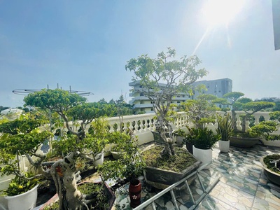 Bán BIỆT THỰ VIP HIẾM nhất Đông Hương, TP Thanh Hóa 17